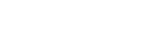 SlimPass